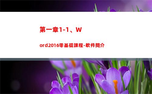 第一章1-1、Word2016零基礎課程-軟件簡介(第一章大康王朝)