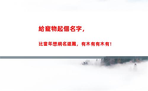 給寵物起個名字，比當年想網名還難，有木有有木有！(給寵物起個名字有型)