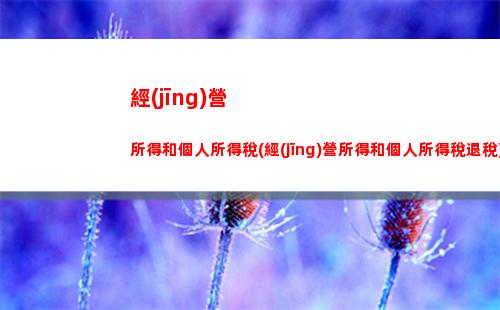 股東清算所得個人所得稅(對個人股東股權(quán)轉(zhuǎn)讓所得征收個人所得稅)
