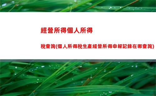 聊城個人所得稅查詢，輕松查稅負，免費預算更合理！（46個字符）