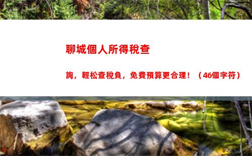 一鍵查詢個稅優惠，讓你輕松省錢！