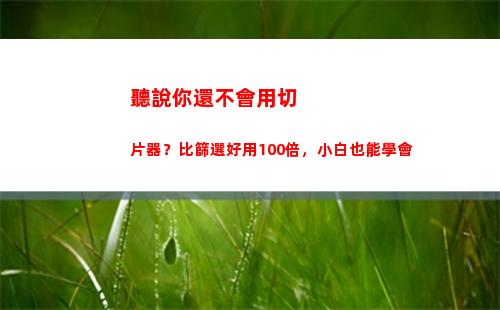 聽說你還不會用切片器？比篩選好用100倍，小白也能學會