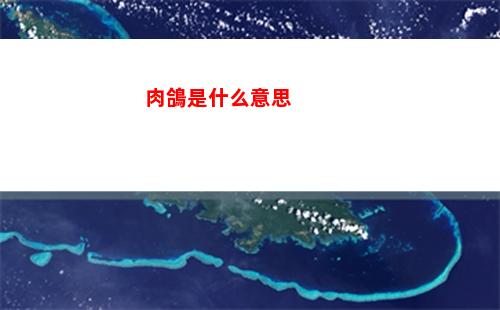 王牌戰士2有哪些角色