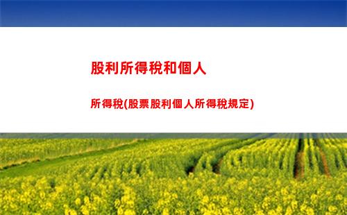 駱駝個人所得稅