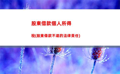 偶然所得稅個人所得稅嗎(偶然所得稅是個人所得稅嗎)