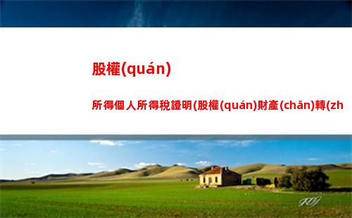 國外工作所得個人所得稅(國外偶然所得個人所得稅)