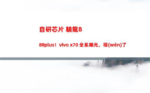 自行研制芯片+驍龍888plus！vivo x70 全系暴光，穩(wěn)了