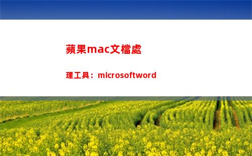 蘋果mac文檔處理工具：microsoftword(蘋果手機mac地址在哪里)