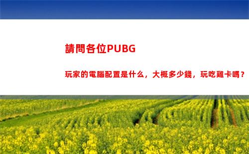 請問各位PUBG玩家的電腦配置是什么，大概多少錢，玩吃雞卡嗎？(請問各位菩薩的生日)插圖
