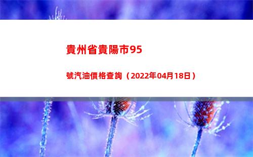 貴州省貴陽市95號汽油價格查詢（2022年04月18日）
