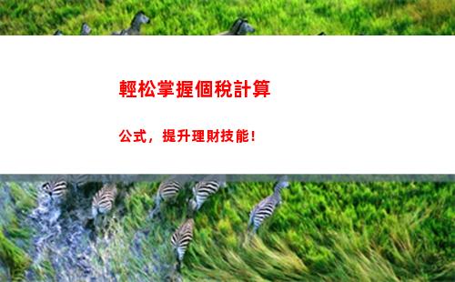 輕松搞定個稅！個人所得稅稅款計算，讓你省心省力！
