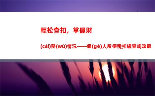 輕松查詢個(gè)稅，省錢從此開(kāi)始！