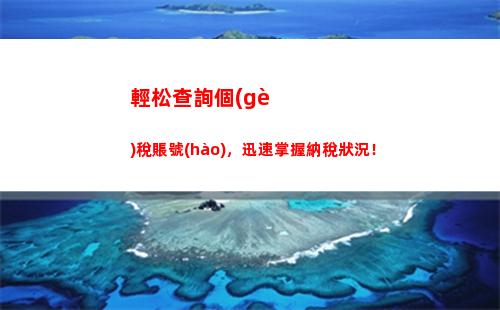 輕松查詢個(gè)人所得稅，快速掌握稅負(fù)情況！