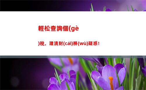 快速查詢個(gè)人所得稅扣除！不到5分鐘，輕松掌握！