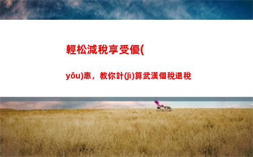 個人所得稅逾期罰款(個人所得稅逾期罰款怎么交)