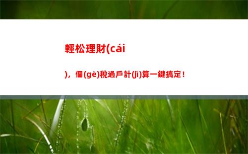 個(gè)人所得稅清繳怎么填寫(個(gè)人所得稅清繳匯算什么意思)