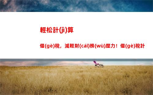 個(gè)人所得稅綜合所得項(xiàng)目(個(gè)人所得稅綜合所得項(xiàng)目不包括)