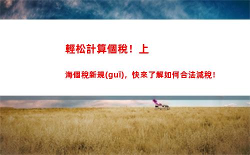 個人所得稅綜合所得稅項目(個人所得稅經(jīng)營所得和綜合所得稅)