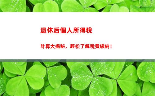 個人所得稅感悟(個人所得稅怎么查)