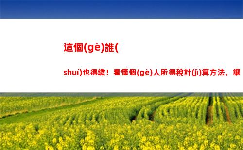 個(gè)人所得稅單身(個(gè)人所得稅單身可以退嗎)