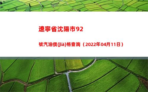 遼寧省沈陽市92號汽油價(jià)格查詢（2022年04月11日）