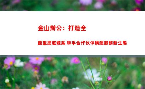 金山辦公：打造全能型渠道體系 聯手合作伙伴構建服務新生態(金山辦公市值)