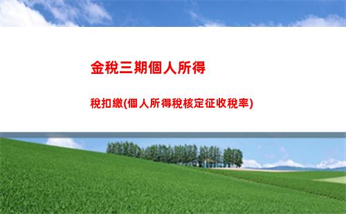 個人所得稅房子稅(個人所得稅怎么退房子稅)