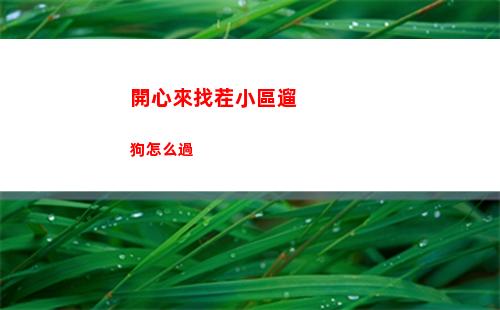 開心來找茬小區遛狗怎么過