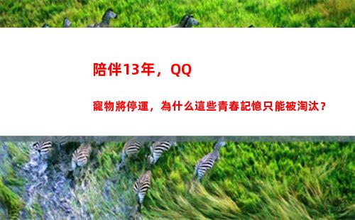 陪伴13年，QQ寵物將停運，為什么這些青春記憶只能被淘汰？(陪伴13年)