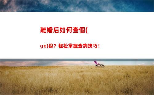 快來(lái)了解個(gè)稅：個(gè)人所得稅信息查詢操作詳解！