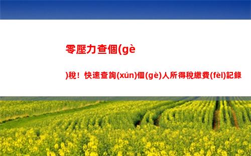 深圳市個(gè)人所得稅查詢(xún)(深圳市的個(gè)人所得稅是怎么扣的)