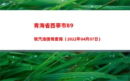 青海省西寧市89號汽油價格查詢（2022年04月07日）