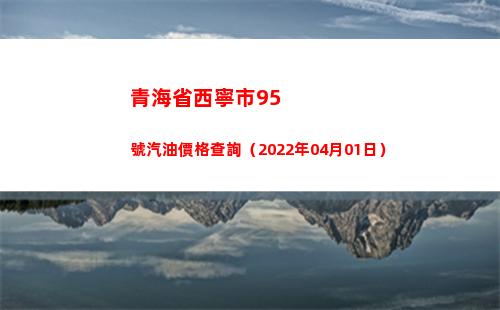 青海省西寧市95號汽油價格查詢（2022年04月01日）