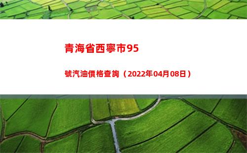 青海省西寧市95號汽油價格查詢（2022年04月08日）