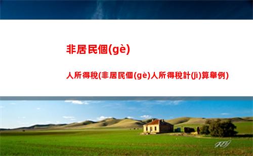 德國(guó)個(gè)人所得稅計(jì)算器(北京個(gè)人所得稅計(jì)算器)