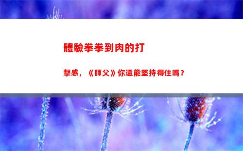 體驗拳拳到肉的打擊感，《師父》你還能堅持得住嗎？(體驗拳拳到肉的打擊感)