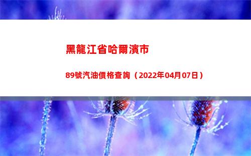 黑龍江省哈爾濱市89號汽油價格查詢（2022年04月07日）插圖