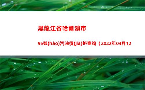 黑龍江省哈爾濱市95號(hào)汽油價(jià)格查詢（2022年04月12日）