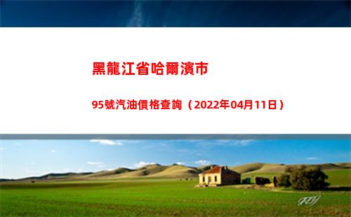 黑龍江省哈爾濱市95號汽油價格查詢（2022年04月11日）
