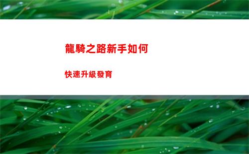 龍騎之路新手如何快速升級發育