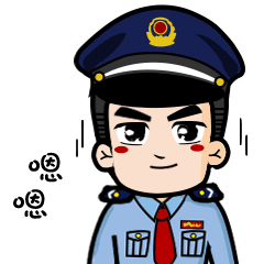 個人所得稅app官方版(個人所得稅app官網)