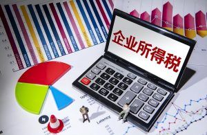 個人所得稅工資(個人所得稅工資薪金所得怎么申報)