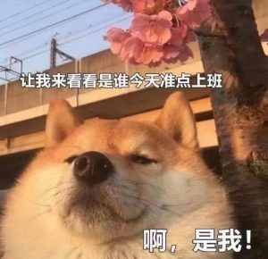 購房貸款計算器首付(房屋貸款首付計算器)