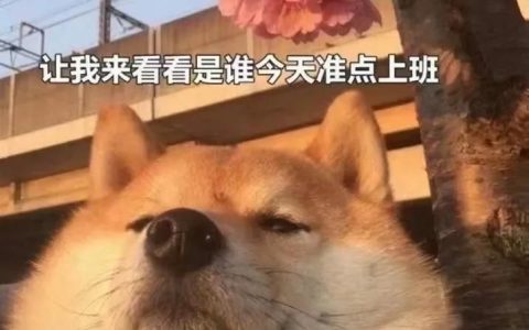 購(gòu)房貸款計(jì)算器首付(房屋貸款首付計(jì)算器)