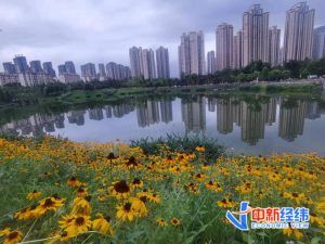 公積金貸款額度計算器(房貸計算器)