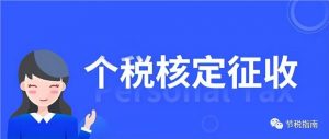 個(gè)人所得稅怎么繳納(企業(yè)代扣個(gè)人所得稅怎么繳納)