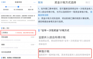 報個人所得稅(報個人所得稅用什么軟件)