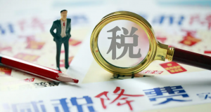 員工個人所得稅(員工個人所得稅由公司承擔)