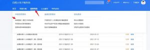 個人所得稅補繳(個人所得稅補繳金額小于400)