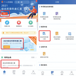 個人所得稅申報軟件(個人所得稅申報軟件電腦版)